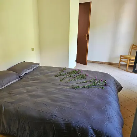 Appartement Val Grande 4 Superior Miazzina